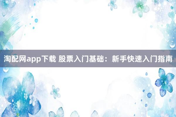 淘配网app下载 股票入门基础：新手快速入门指南