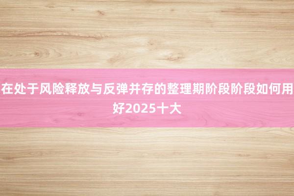 在处于风险释放与反弹并存的整理期阶段阶段如何用好2025十大