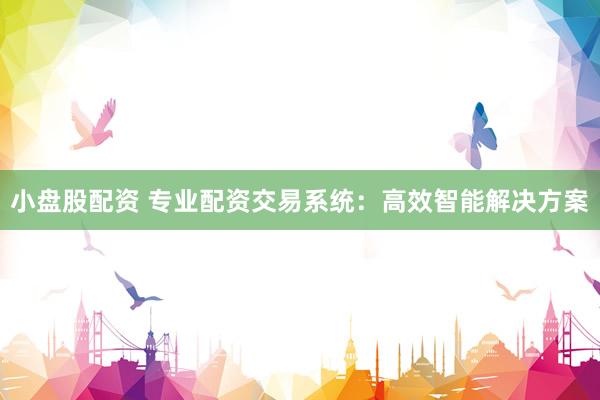 小盘股配资 专业配资交易系统：高效智能解决方案