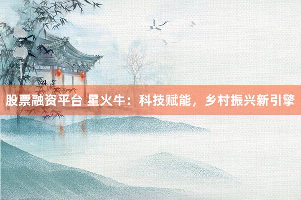 股票融资平台 星火牛：科技赋能，乡村振兴新引擎