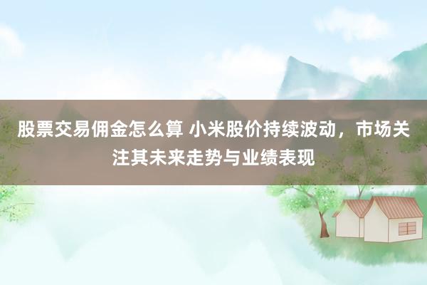 股票交易佣金怎么算 小米股价持续波动，市场关注其未来走势与业绩表现